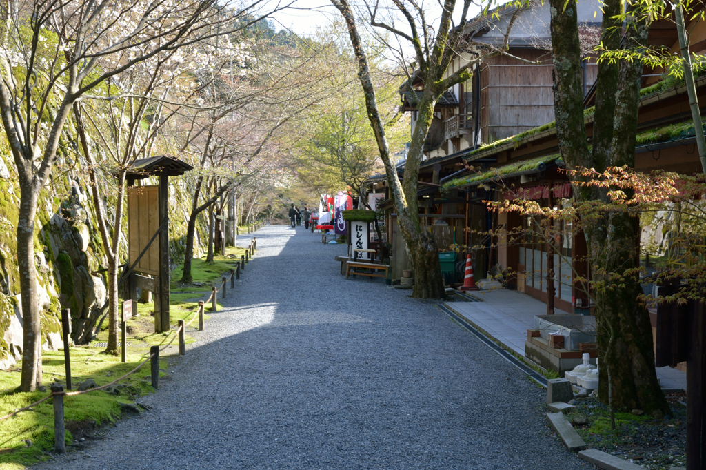 三千院門跡　門前