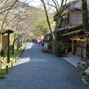 三千院門跡　門前