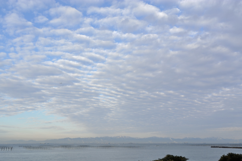１月１４日朝の空