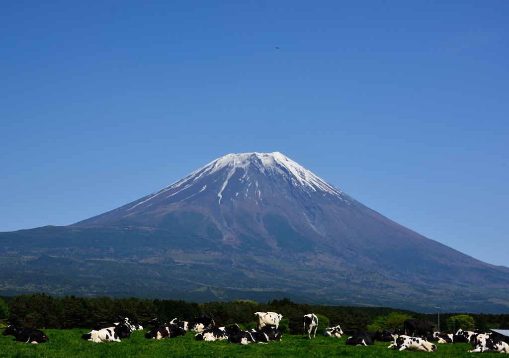 富士山