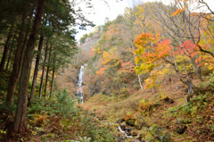 紅葉終盤の唐沢の滝