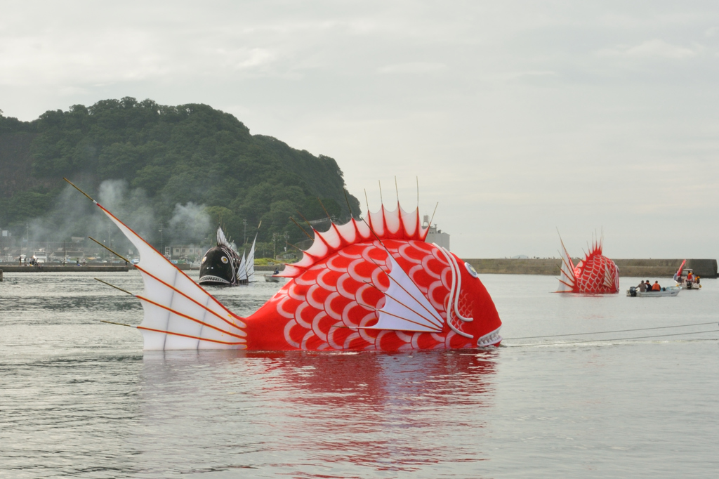 豊浜鯛祭り_3尾で回遊