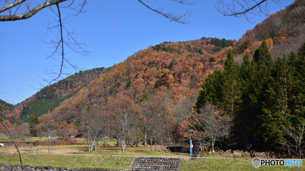 秋 山