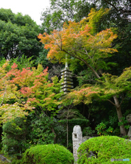 秋篠寺 石塔　ちょっと秋