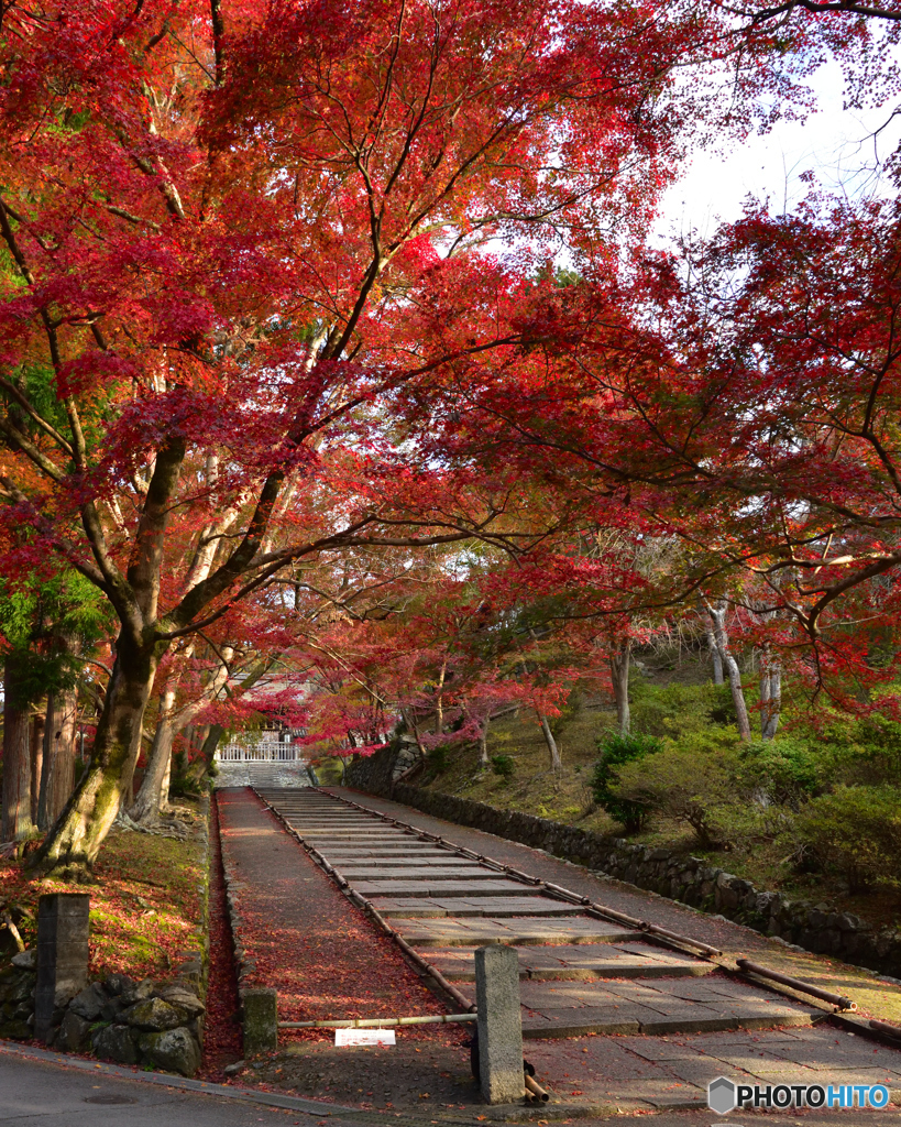 紅葉_毘沙門堂門跡_1