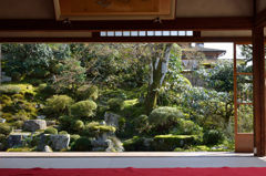 京都大原　実光寺庭園
