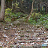 山道