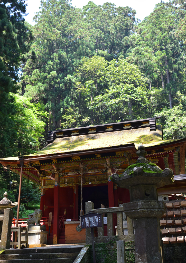 木立の中に　鳳来寺東照宮