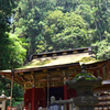 木立の中に　鳳来寺東照宮