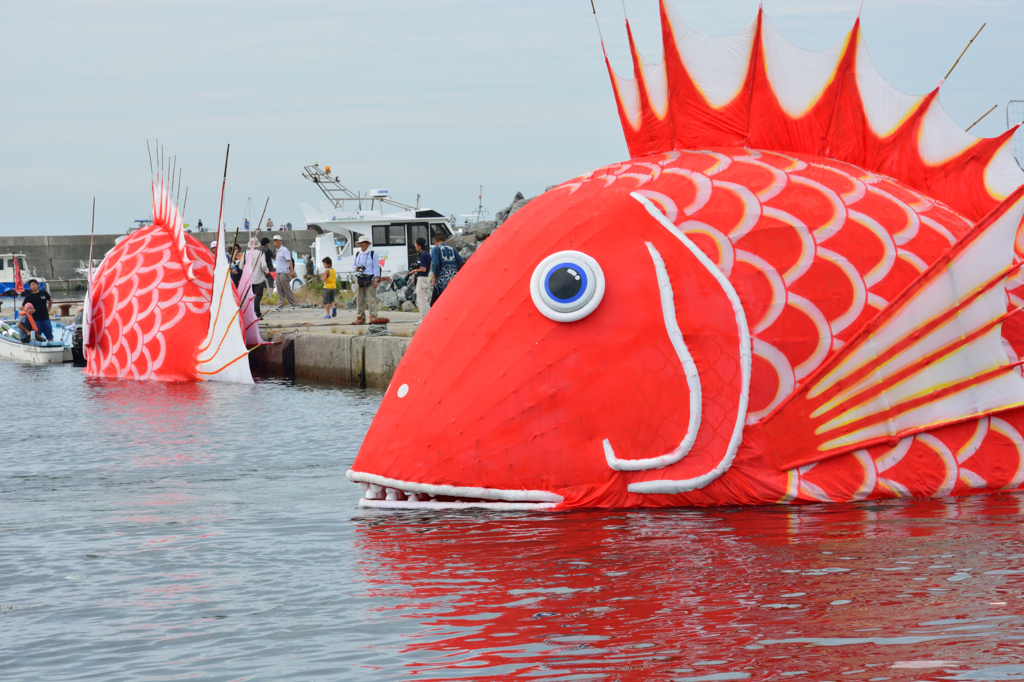 豊浜鯛祭り_入水
