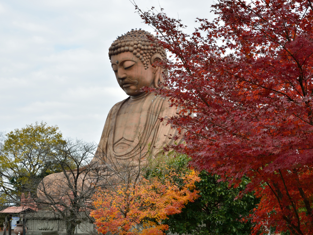 大仏様と紅葉Ⅱ