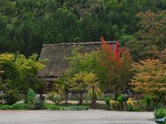 ちょっと秋の白川郷