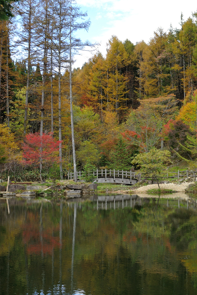 せせらぎ街道_西ウレ峠の水辺