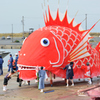 豊浜鯛祭り_入水準備完了