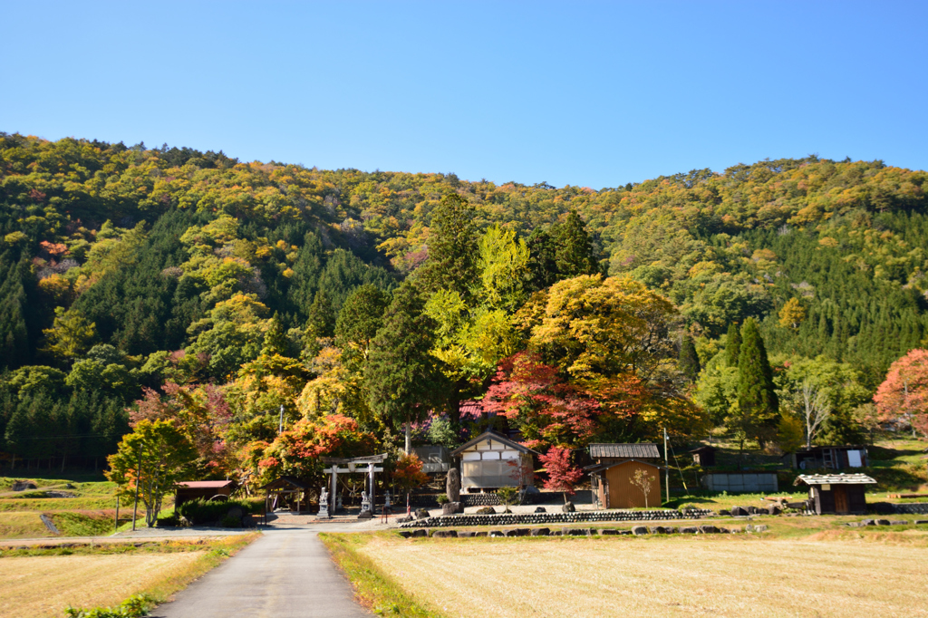 山里の社