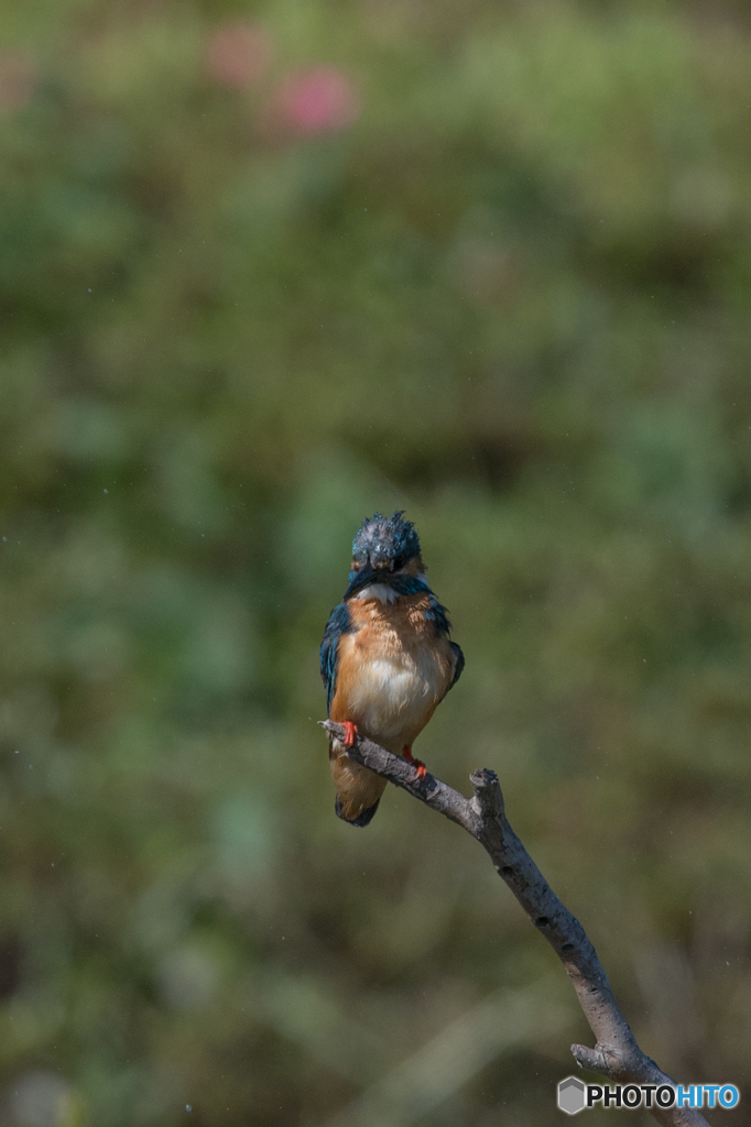 こういう時もあるさ