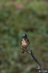 こういう時もあるさ