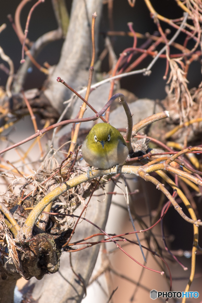 なんだこの野郎 (-"-)