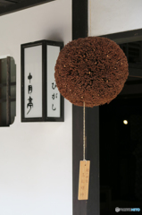 杉玉