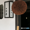 杉玉