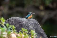 緑と岩とブルー