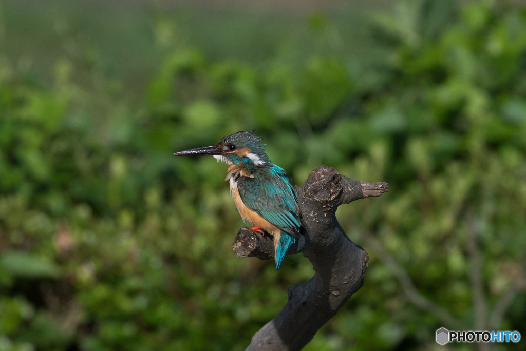 水も滴るいい男