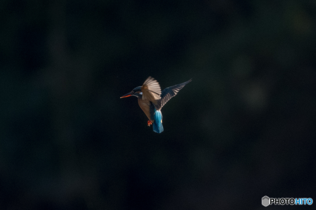 エンジェルポーズ