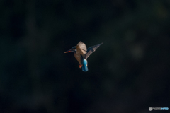 エンジェルポーズ