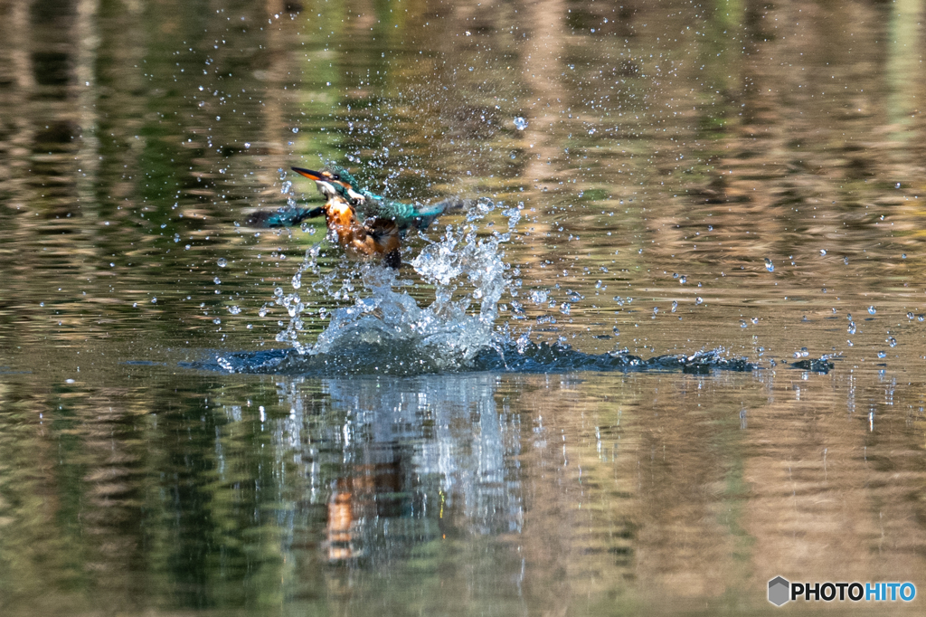 離水1