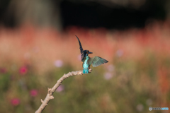 180°ターン途中