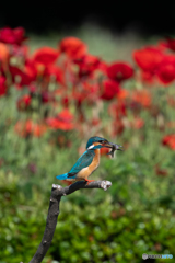 花のある食卓