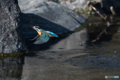 空振りだった(T_T)