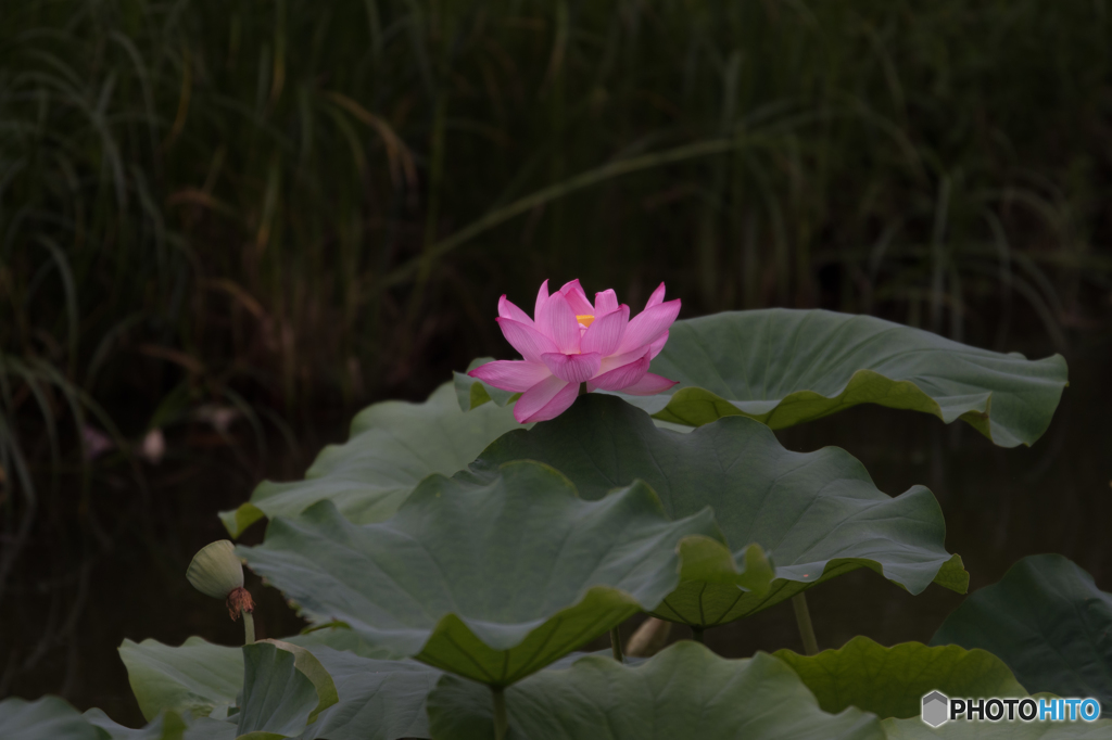 ここに留まってくれれば…