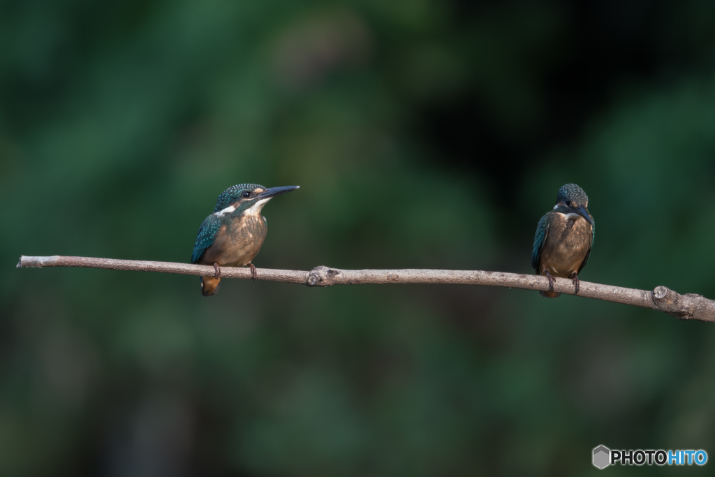 でも、やっぱり一緒がいい♡