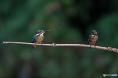 でも、やっぱり一緒がいい♡