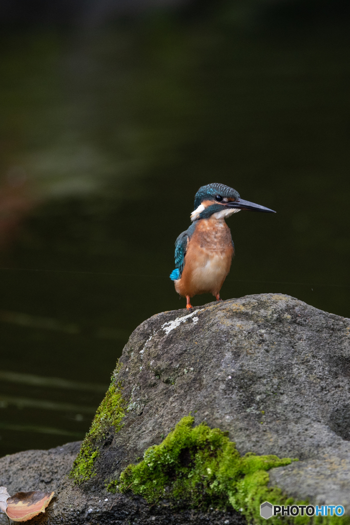 ちょっと背伸び