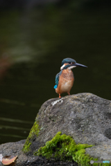ちょっと背伸び