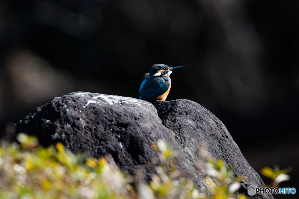 陽射しを浴びて