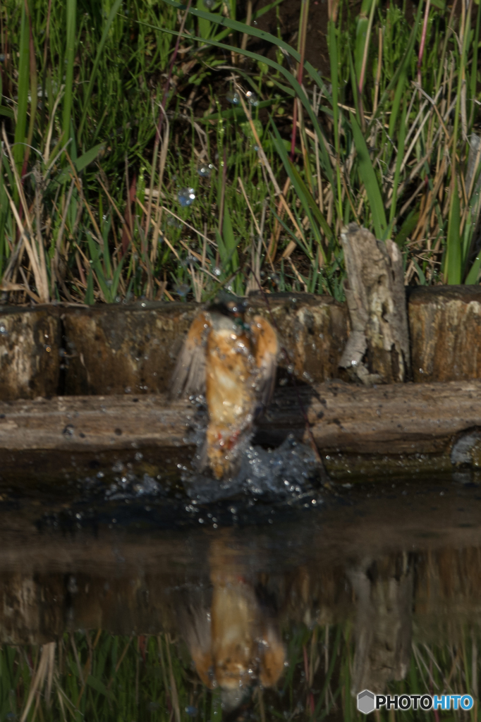 ベールに包まれて