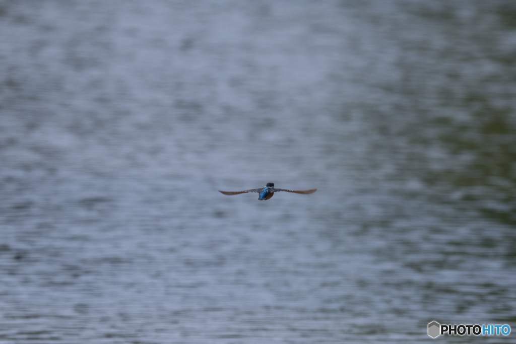 また来てくれよ♡