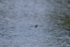 また来てくれよ♡