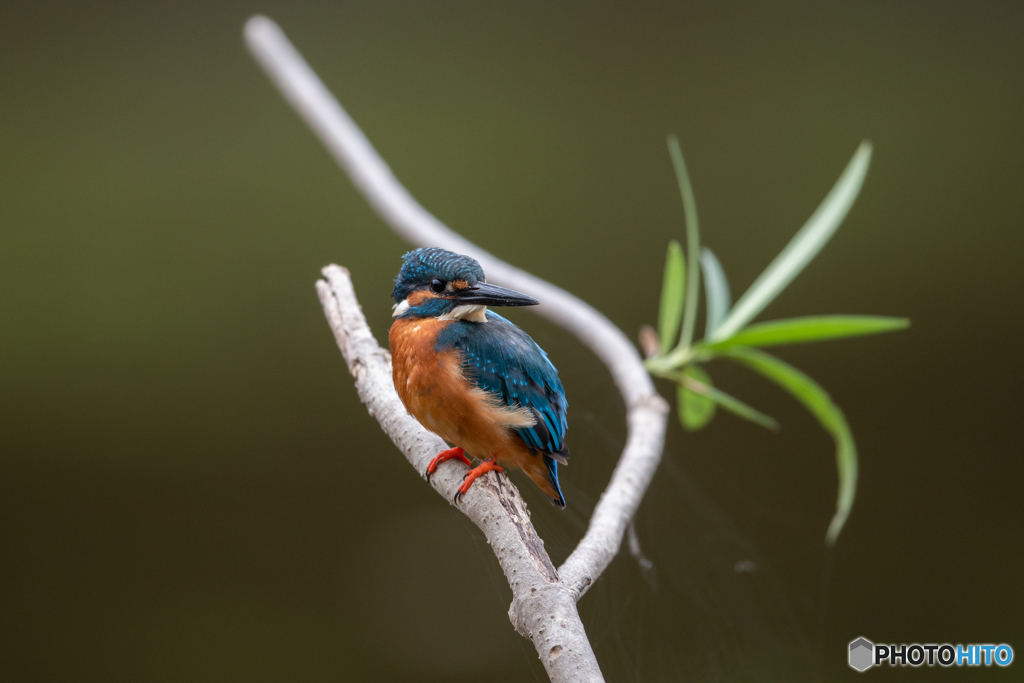 振りむいた(^-^)