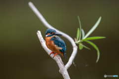 振りむいた(^-^)