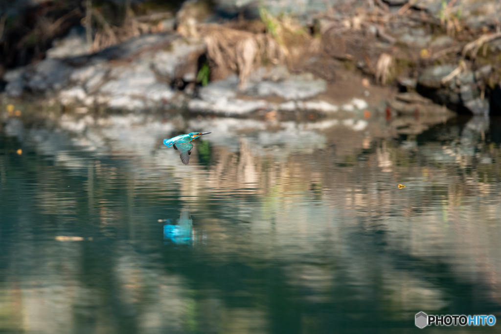 久し振りの飛び物