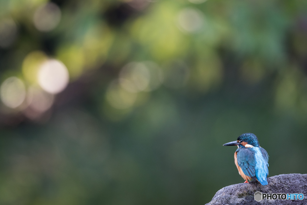 玉ぼけとブルーライン