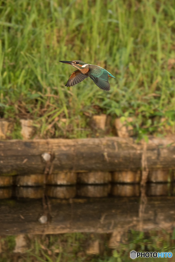 夕焼けフライト