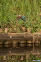 夕焼けフライト