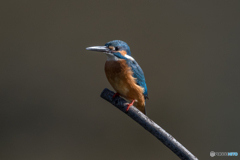 近いっていい♡