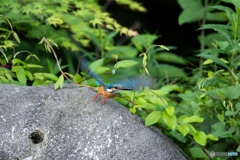 またね！