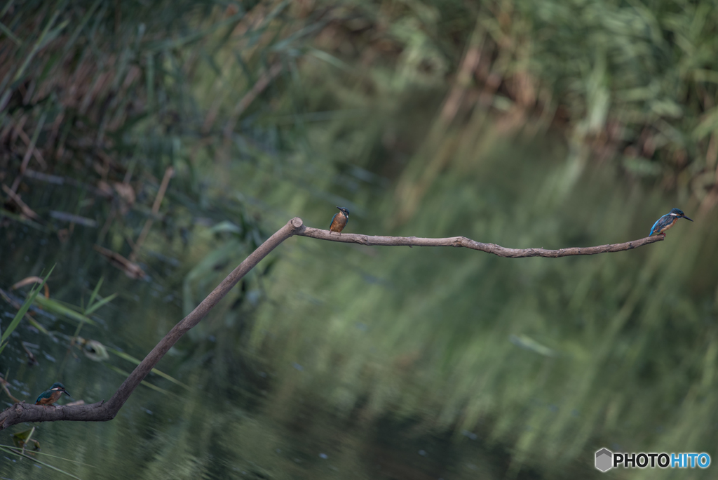それぞれの立ち位置